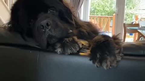 Glory looks so cute😌