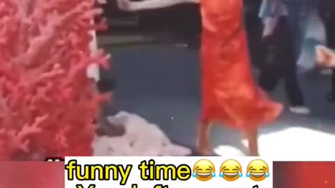 A very funny mistake that happened on stage while performing a play