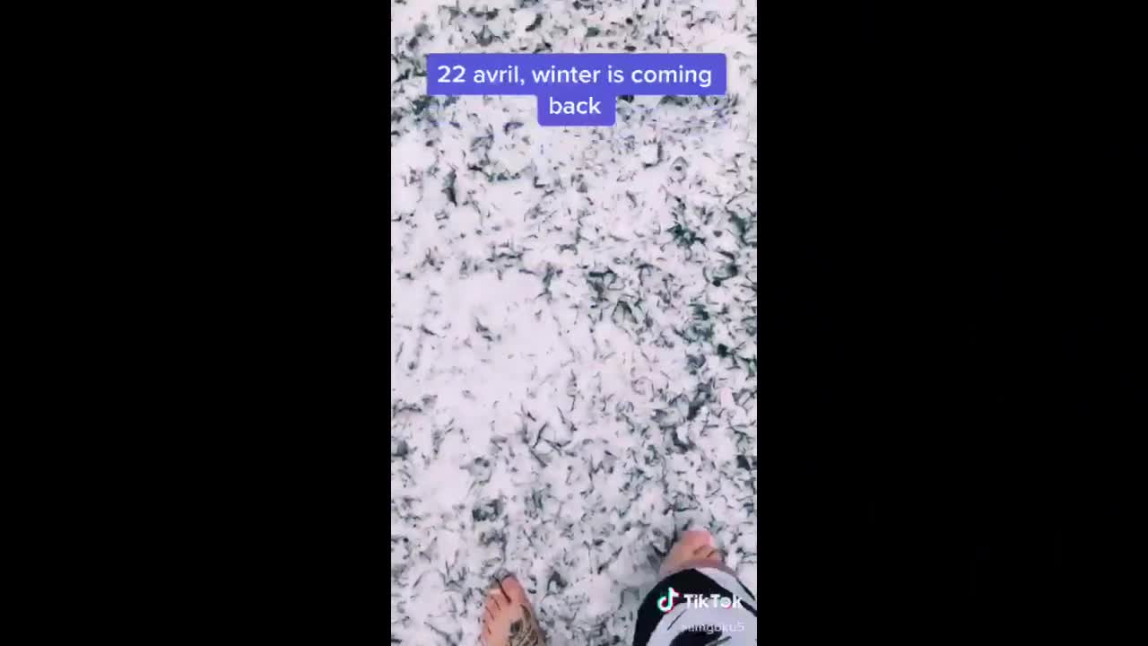 Polyvalente de Saint-Georges: des vidéos pour augmenter le sentiment d'appartenance