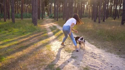 Girl and dog are playing