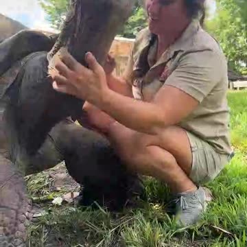 Only Genius know 🤓 || We know where she has experience from 😂