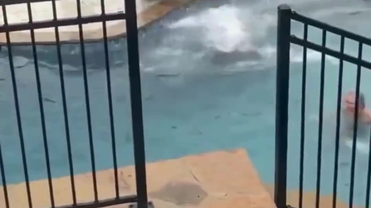 The End 😂😂😂 #viral #shorts #reels #funny #fails