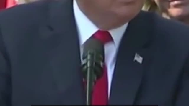 Donald Trump roast a reporter during an interview.