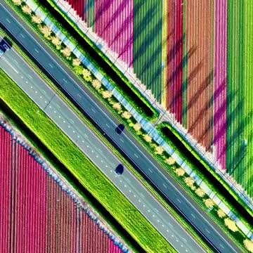 This must be LGBTQland…😂