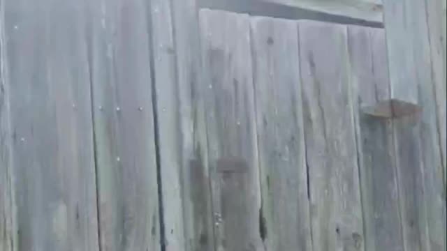 Heres one solution for drama 😂