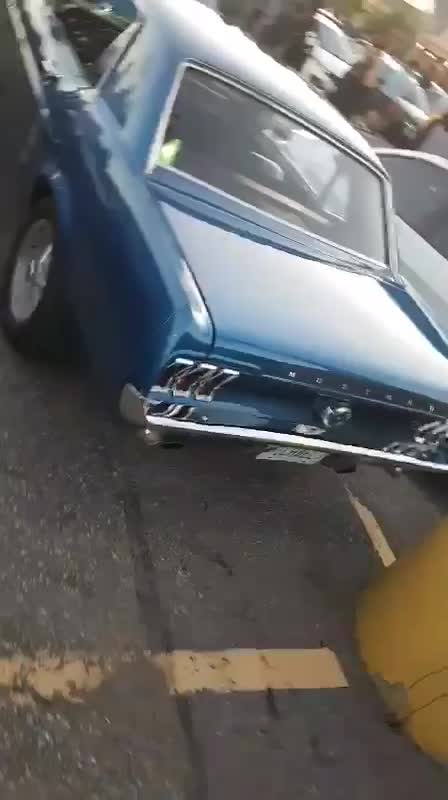 Muscle Sport Cars - Summer Fun