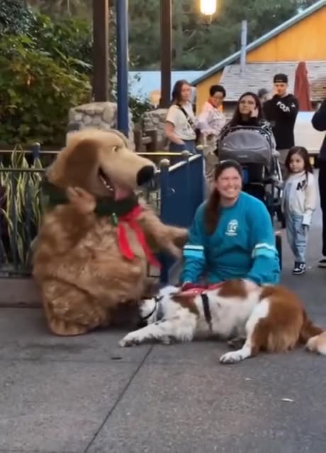 When dog meets his favorite cartoon character..