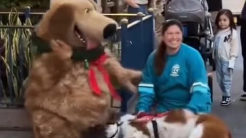 When dog meets his favorite cartoon character..