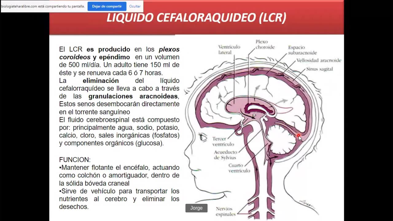 CIENCIAS DESDE CERO LBTHL 2022 | Semana 06 | BIOLOGÍA S2