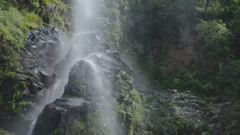 Waterfall in forest