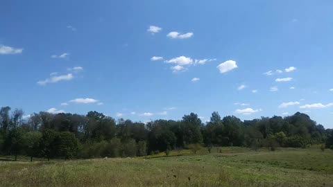 Hike Trails Field Woods