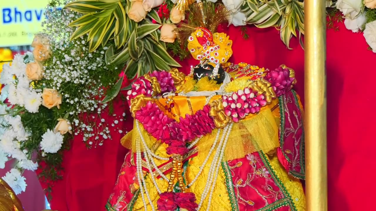 Tulsi Vivah of Lord Vishnu.