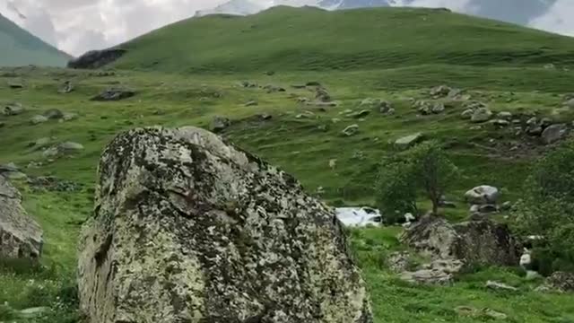 large green field