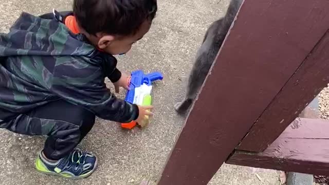 Toddler playing with cat