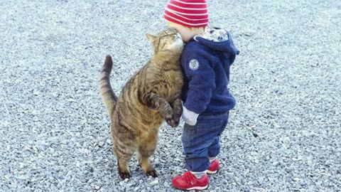 Cute baby and cat