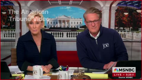 WATCH: MSNBC Host Has to Apologize Live on Air after Awful Guest Mockery Moment