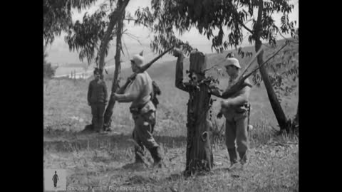 Charlie Chaplin in Tree Disguise - Daring Rescue and Narrow Escape