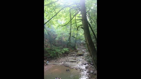 Walking to the Falls