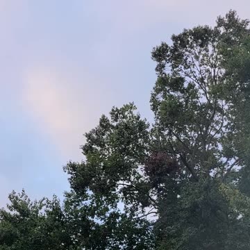 Sounds Of Fall And Winter