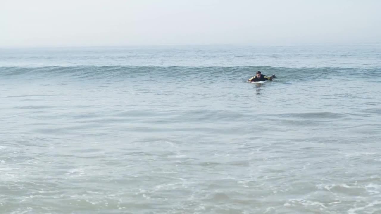 Aerial Footage of People Surfing