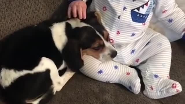 LOVELY MOMENT! DOG PUPPY LICKS BABY AND THE BABY'S REACTION IS LOVELY!
