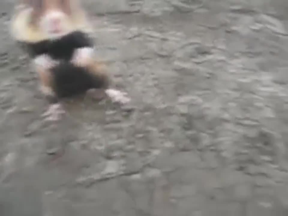 KUNG FU HAMSTER