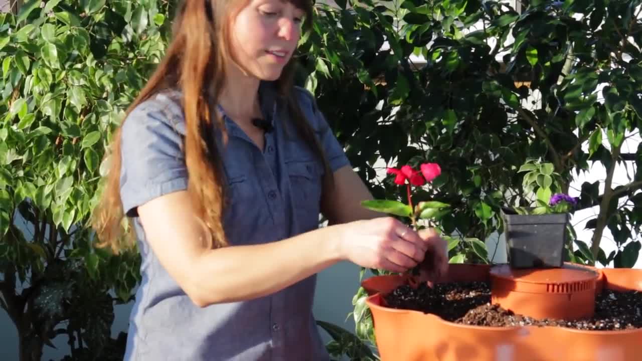 Planting the Garden Tower