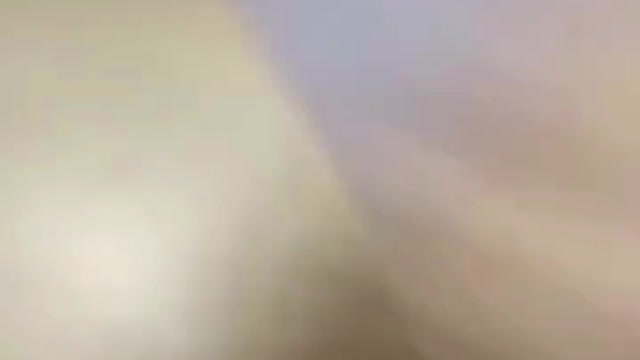 Cats become cute pets in funny moments