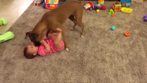 DOGS AND BABIES ARE THE BEST FRIENDS FOREVER