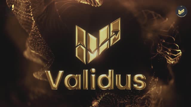 Validus Company How To Make Passive Money