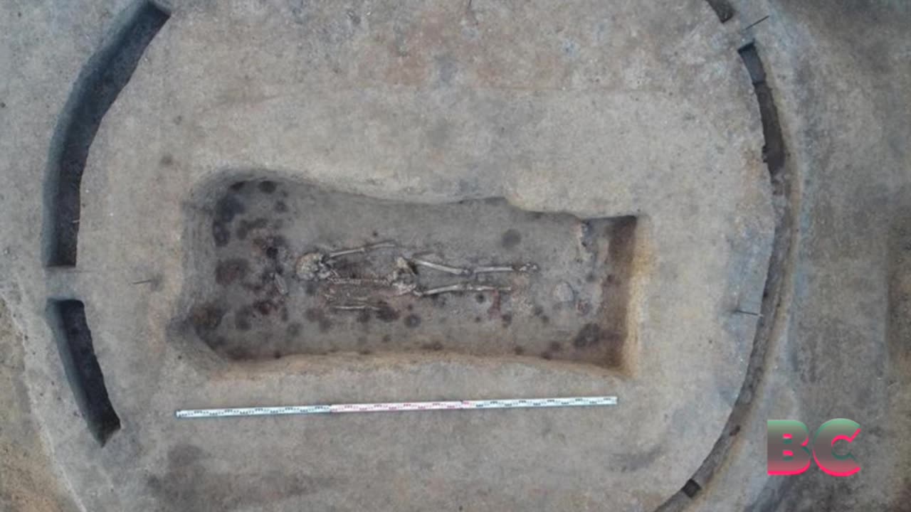 Battle axes unearthed in a cemetery in Russia may have belonged to 11th-century taxmen