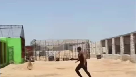 The lion attack on the announcer 🦁😂😂😂