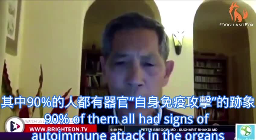Dr. Bhakdi 陳述了德國🇩🇪病理學家疫苗後屍檢結果。90%的人都有器官自身免疫攻擊的跡象,而幾乎可以在任何器官發現刺突蛋白