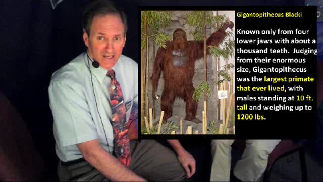 Girl sees bigfoot!