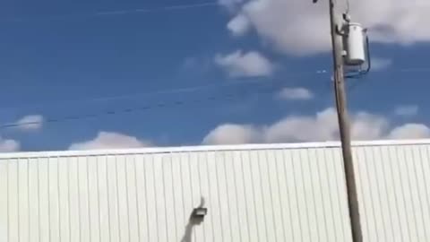 Pole vaulting can have the craziest outcomes