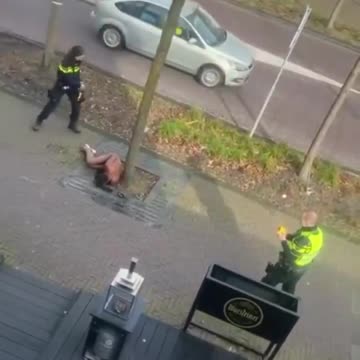 Dutch police shoot the naked invader in the testicles with an electric gun.