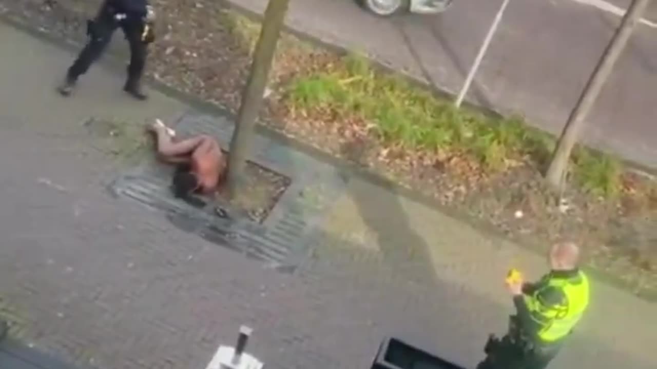 Dutch police shoot the naked invader in the testicles with an electric gun.