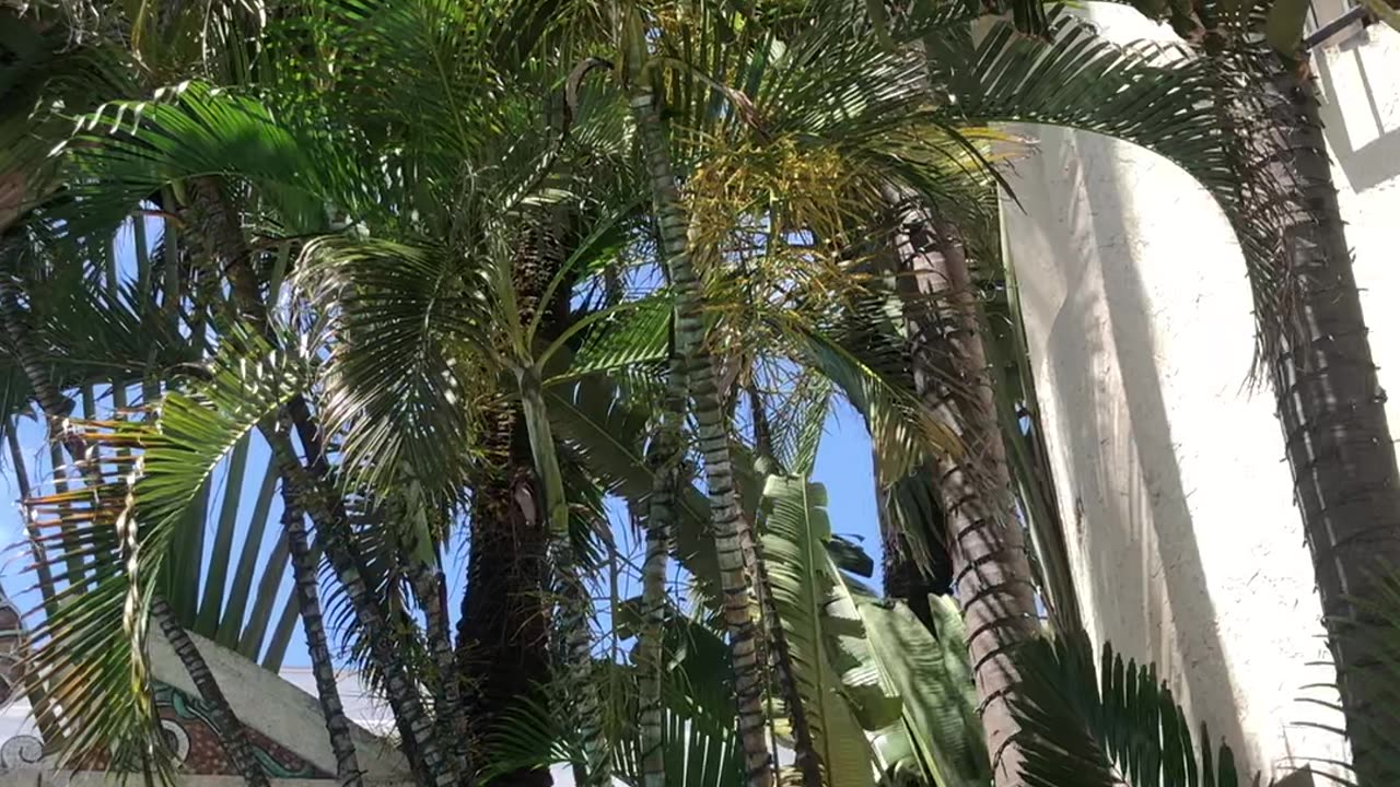 Versace mansion