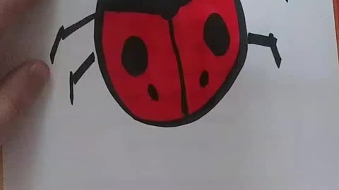 ladybug