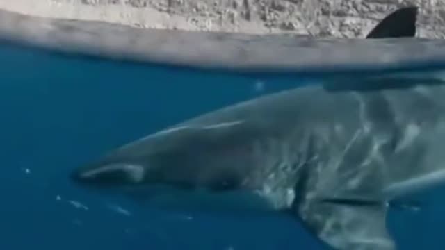 You never know what's under the water
