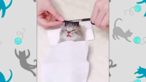 It's Pamper Time