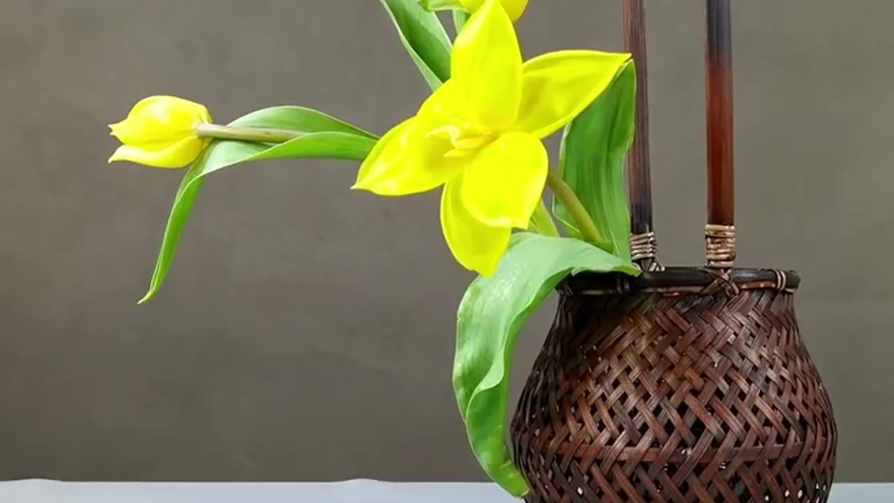 Flower ASMR