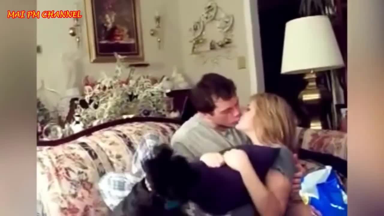 Top funniest jealous dogs of kissing ☺️