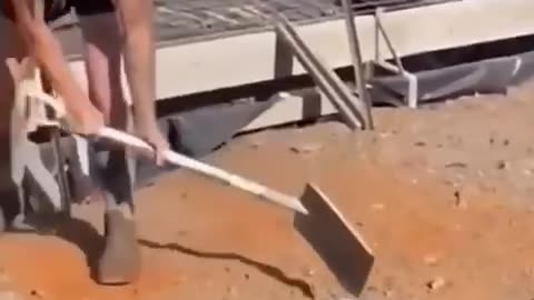 Fun