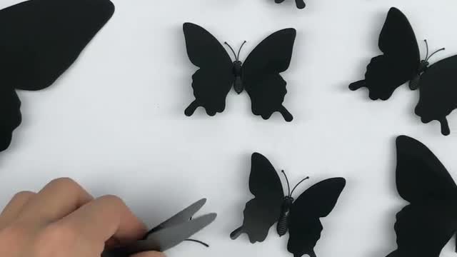 Butterfly latest collection