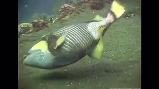 Time with God - July 18