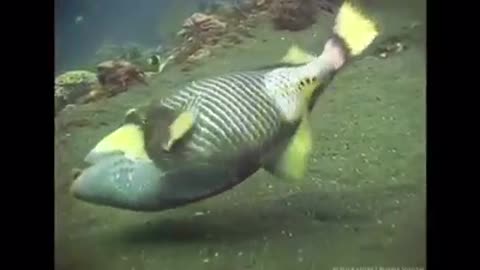 Time with God - July 18