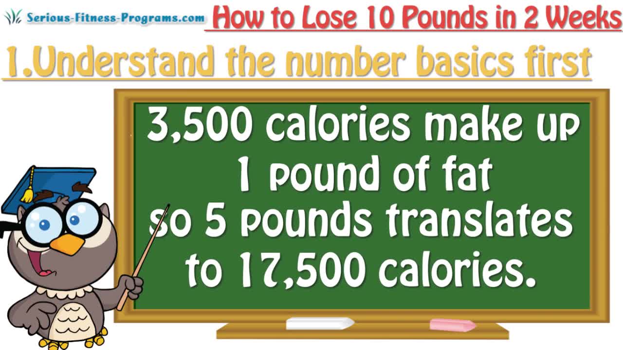 The best Way How To Lose 10 Pounds In 2 Weeks, Lose 5 Pounds In A Week