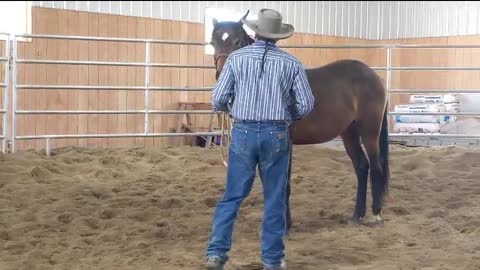 Ramon Castro Horsemanship_Orphan Iron Amante - Part 1_Groundwork_2022May4