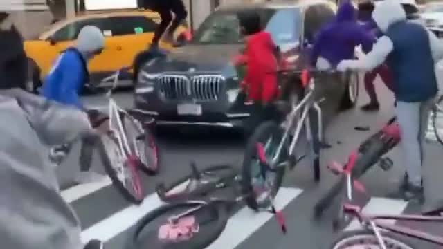 Elderly couple get their car smashed by a pack of feral animals.